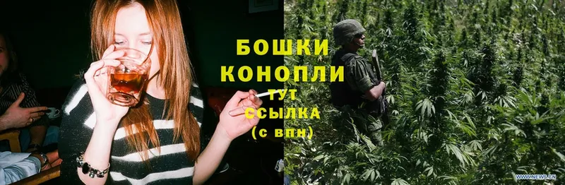 Канабис SATIVA & INDICA  блэк спрут   нарко площадка как зайти  Железногорск 